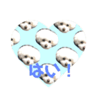 m＆c...（個別スタンプ：11）