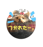 m＆c...（個別スタンプ：13）
