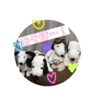 m＆c...（個別スタンプ：15）