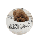 m＆c...（個別スタンプ：20）