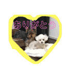 m＆c...（個別スタンプ：24）