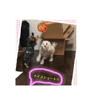 m＆c...（個別スタンプ：25）