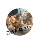 m＆c...（個別スタンプ：26）