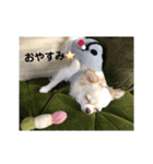 Tofuの気持ち（個別スタンプ：4）