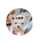Tofuの気持ち（個別スタンプ：5）