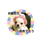 Tofuの気持ち（個別スタンプ：6）