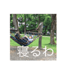 もやもやっともや（個別スタンプ：10）