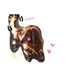 everyday Qoo chan（個別スタンプ：16）