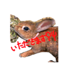 うさぎのちょこちゃん（個別スタンプ：2）