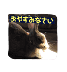 うさぎのちょこちゃん（個別スタンプ：7）