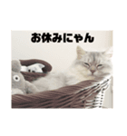 エリーのスタンプ（個別スタンプ：2）