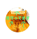 犬ときどきうさぎ（個別スタンプ：15）