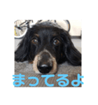 らイオン（個別スタンプ：4）