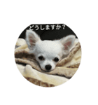 くぅ～パート2（個別スタンプ：2）