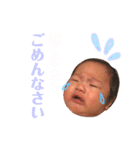 すけさん顔芸スタンプ（個別スタンプ：17）