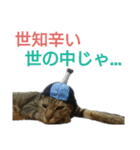 こまたろうは天使スタンプ（個別スタンプ：11）