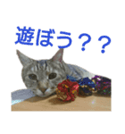 こまたろうは天使スタンプ（個別スタンプ：18）
