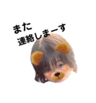 岡本家のゆかいな仲間たち13（個別スタンプ：1）