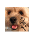 きなこ君（個別スタンプ：5）