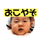 hiyo.stamp.jp2（個別スタンプ：5）