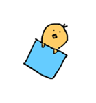 yellow hiyoko（個別スタンプ：3）