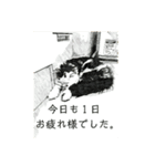 アンニュイな大福（個別スタンプ：16）