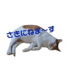 うちのゆかいな仲間たち（個別スタンプ：11）