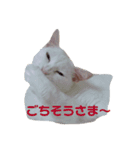 うちのゆかいな仲間たち（個別スタンプ：14）