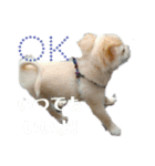 なかよしまりがろ3（個別スタンプ：2）
