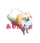なかよしまりがろ3（個別スタンプ：3）