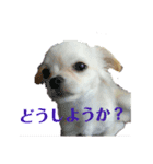 なかよしまりがろ3（個別スタンプ：4）