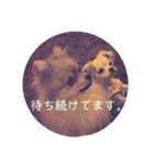 なかよしまりがろ3（個別スタンプ：7）