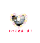 猫のキリコのスタンプです（個別スタンプ：4）