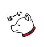 たるちゃんのスタンプ（個別スタンプ：1）