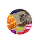 うちのメル（個別スタンプ：15）