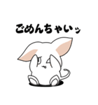 シンプルなシロネコA（個別スタンプ：6）