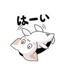 シンプルなシロネコA（個別スタンプ：9）