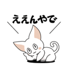 シンプルなシロネコA（個別スタンプ：11）