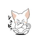 シンプルなシロネコA（個別スタンプ：12）