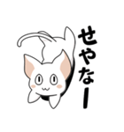 シンプルなシロネコA（個別スタンプ：13）