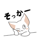 シンプルなシロネコA（個別スタンプ：14）