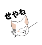 シンプルなシロネコA（個別スタンプ：15）