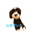 コイト君（個別スタンプ：2）