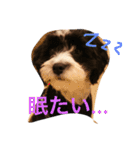 コイト君（個別スタンプ：3）