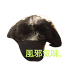 コイト君（個別スタンプ：7）