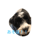 コイト君（個別スタンプ：8）