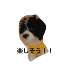 コイト君（個別スタンプ：10）