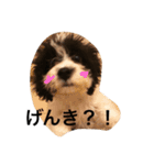 コイト君（個別スタンプ：17）