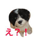 コイト君（個別スタンプ：18）