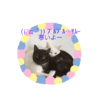 そら＆とわふぁみりー①（個別スタンプ：2）